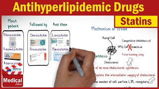 Pharmacology CVS 29 Antihyperlipidemic Drugs  1 HMG CoA Reductase inhibitors  Statins [upl. by Fatsug]