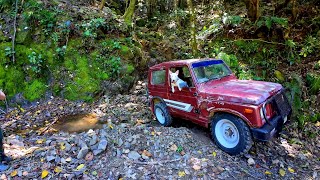 Fixing the Salvaged Suzuki SJ410 4x4 and testing on Steep Forest Trails [upl. by Timoteo]