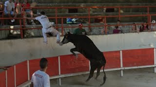 PALUDS DE NOVES COURSE DE LIGUE PACA 12082024 [upl. by Habeh371]