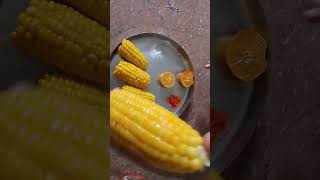 Bhutta banane ki recipe 😍😘❤️😋😋birds downtownsong lovesong love jubinlovesong cute slowed [upl. by Eenrahc476]