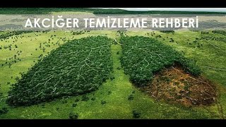 Akciğer temizleme  Akciğer doğal tedavi  Dr Aidin Salih [upl. by Natassia684]