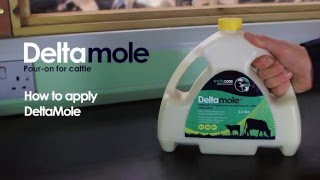 How To Apply Deltamole  Deltamethrin Pour On for Cattle from Molecare  Mole Valley Farmers [upl. by Urial]