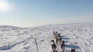 Iditarod 2009 Aliy Zirkles quotLivequot Iditarod Trail Video  Part 1 [upl. by Teyugn599]