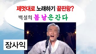 장사익 노래분석 백설희 봄날은간다 분석평가 조단조단 [upl. by Alasteir]