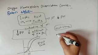 Oxygen Hemoglobin Dissociation Curve Protein Biochemistry 1st Year MBBS Lecture 6 [upl. by Ryley747]