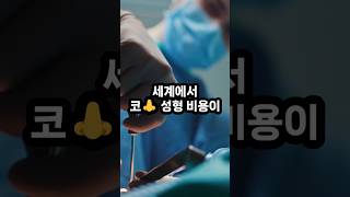 세계에서 코 성형 비용이 가장 비싼 나라 TOP5 [upl. by Asillem28]