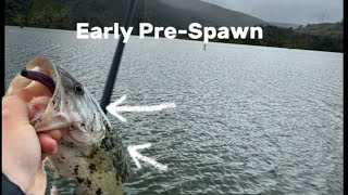 Early PreSpawn Bass Fishing Lake Berryessa [upl. by Jari]