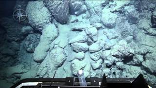 Pillow Lava  Nautilus Live [upl. by Tory]