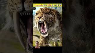 amazingfacts extinct factsinhindi factscience animals animalfacts interestingfacts topfacts [upl. by Akoek]