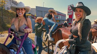 Maravillosa CABALGATA en Manizales  Caldas 😍 COLOMBIA 2024 [upl. by Evita629]