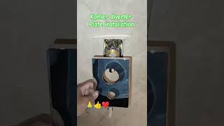 kohler diverter plate installation plumbing fitting installation work youtubeshorts [upl. by Lytsirhc]