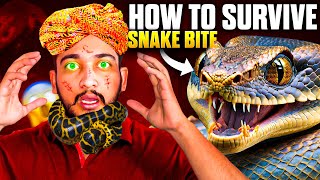 20 Most Painful Snake Bites In The World [upl. by Enilhtak]