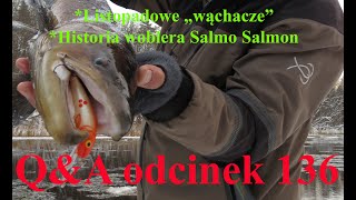 QampA odcinek 136  Szczupaki w listopadzie Historia woblera Salmo Salmon [upl. by Atolrac474]