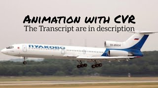 Pulkovo Aviation Enterprise Flight 612 Crash  Animation with CVR Read description [upl. by Yelnet367]