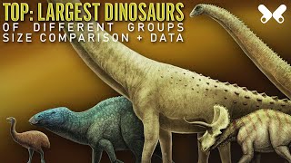 TOP Largest Dinosaurs Size Comparison and Data [upl. by Rudiger462]