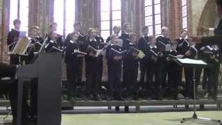 Tölzer Knabenchor  Schubert [upl. by Gayleen]