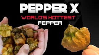 Pepper X Worlds Hottest Pepper [upl. by Nnyltiak768]