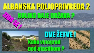 ALBANIJA  poljoprivreda  seljaci  KAKO SU SE RAZVILI ŠTA IM DAJE DRŽAVA  klima je neverovatna [upl. by Australia]