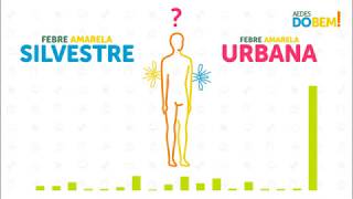 Qual a diferença entre febre amarela silvestre e urbana [upl. by Ophelie90]