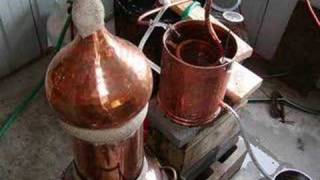 The Distillation of Ledum Groenlandicum Hydrosol [upl. by Lusar]