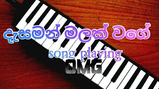 Desaman malak vagee priyankarai song playing with melodica දැසමන් මලක් වගේ ප්‍රියංකරයි ජන සංගීතය [upl. by Adnamal868]