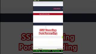 ssh tunneling forwarding port 8080 from port 22 tryhackme develpy [upl. by Enimrej]