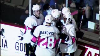 Highlights 11715 Milwaukee Admirals 4  Adirondack Flames 3 [upl. by Daniyal818]