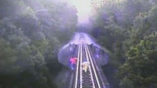 Two Women Narrowly Avoid Being Hit by Train [upl. by Myca731]