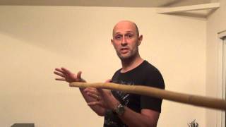 How to hold the quarterstaff [upl. by Akemahs]