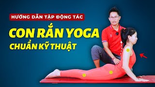 Cách Nâng Chỉnh Tư Thế Yoga Con Rắn  Kim Ba Yoga [upl. by Beore]