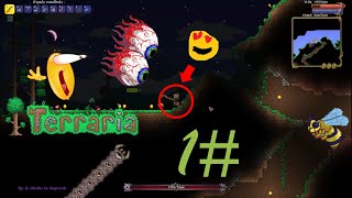 Mis primeros pasos 🚶‍♂️‍➡️️jefes Terraria 1 [upl. by Amoihc]