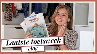 Mijn Laatste Toetsweek Vlog  R O S A L I E [upl. by Ardene855]