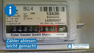 Zähler ablesen leicht gemacht [upl. by Solegna818]