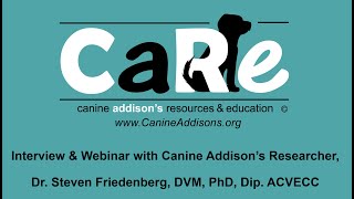 Canine Addisons Pathophysiology amp Genetics  CARE Interview with Dr Steven Friedenberg  9182021 [upl. by Krista249]