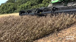 World Record Worthy Soybeans [upl. by Anniken850]