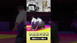 Dynamic and Beautiful techniques of Modern Aikido Master [upl. by Ainuj]