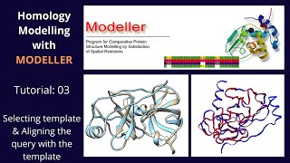 Homology Modelling  Tutorial 3 of 5  Modeller [upl. by Haughay]