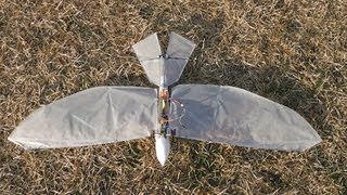 GosHawk 26iV Orcon Film AN36 wing Light Ornithopter First Flight [upl. by Isidore436]