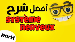 le système nerveux  La sensibilité consciente svt 3ac [upl. by Attekal424]