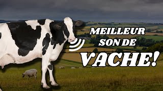 🐮 Bruit de la VACHE 🔊 [upl. by Price277]