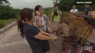 ✦CHINA DOG MEAT FESTIVAL AT YULIN SPARKS OUTRAGE✦ [upl. by Herr]