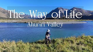 The Way of Life  Fly Fishing the Ahuriri Valley [upl. by Anaidni622]