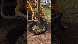 didingmachine treecuttingservice treedidingmachine treeremoval treedidingvideo [upl. by Reffinnej]