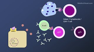 HBV Immunopathogenesis  How HBV Evades immune response  Hepatitis B virus part 3 [upl. by Okia753]