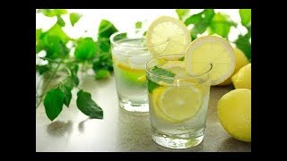 Lemon Soda Recipe  Refreshing amp Tasty Summer Drink Recipe [upl. by Annawahs106]