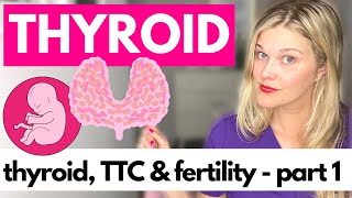 THYROID amp FERTILITY Part 1  Understanding TSH and Your Thyroid Hormones [upl. by Ojeibbob]