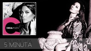 Ceca  5 minuta  Audio 2013 HD [upl. by Ecyarg410]