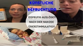 Kinderwunschupdate 5Eisprung auslösenPunktion der EizellenÜberstimmulation [upl. by Figone]