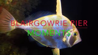 Blairgowrie Pier UNDERWATER [upl. by Kurt]