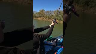 She’s getting the hang of the baitcaster fishing bassfishing femaleangler ladyangler kayak [upl. by Yssor]